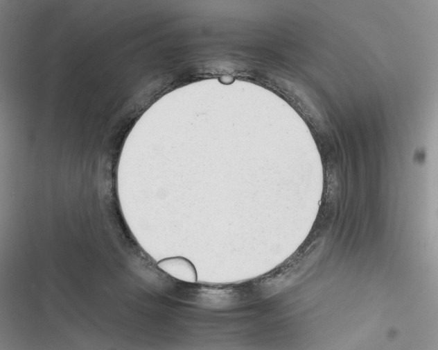 X0000116660457201001251221
