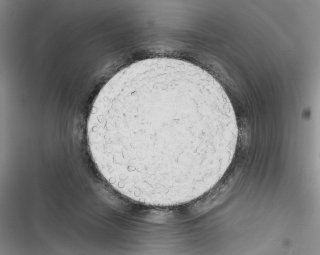 X0000116660458201001251221