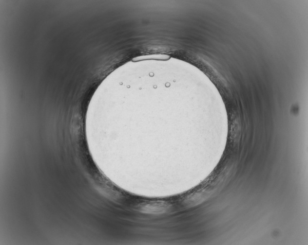 X0000116660459201001251221