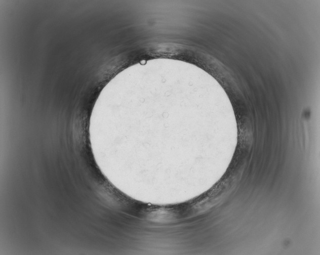 X0000116660460201001251221