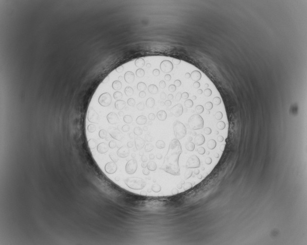 X0000116660462201001251221