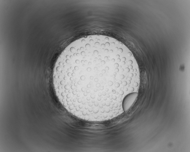X0000116660463201001251221