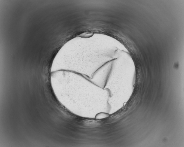 X0000116660465201001251221