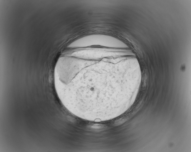 X0000116660467201001251221