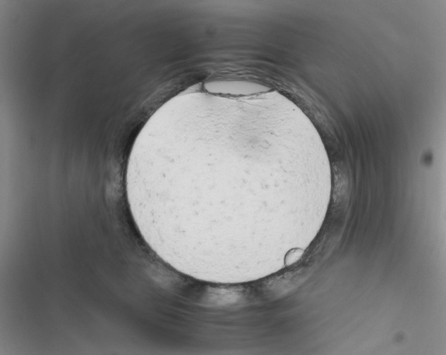 X0000116660469201001251221