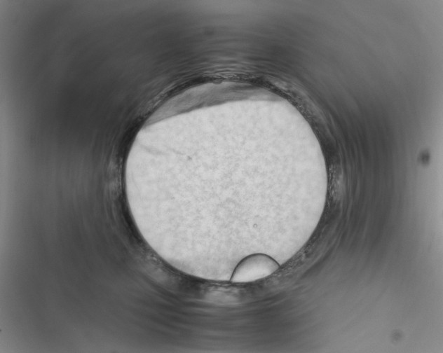 X0000116660471201001251221