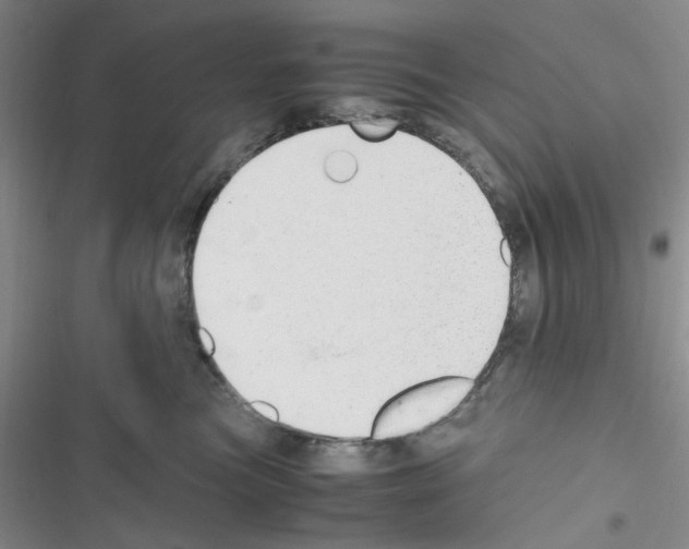 X0000116660473201001251221