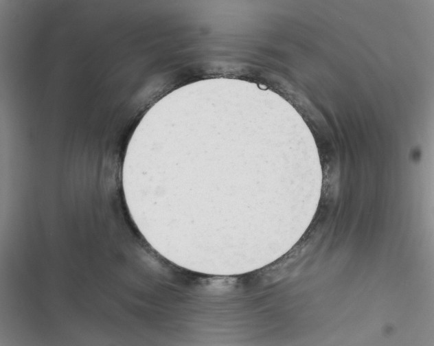 X0000116660474201001251221