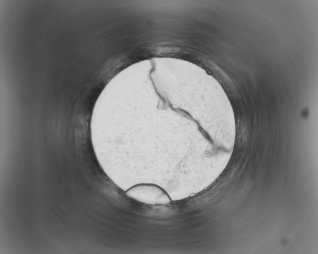 X0000116660475201001251221