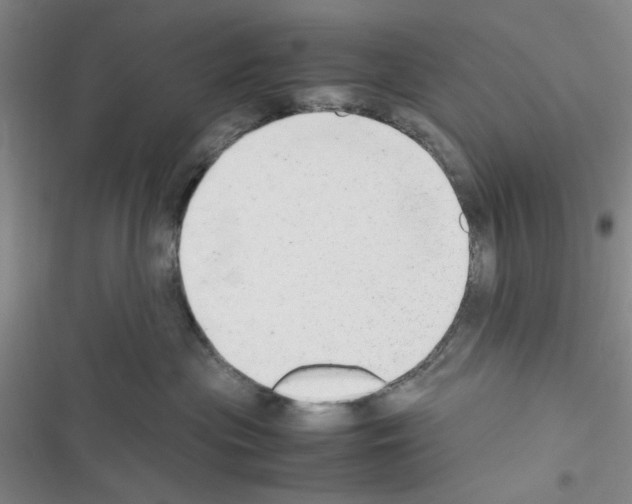 X0000116660477201001251221