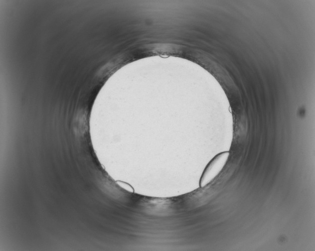X0000116660478201001251221