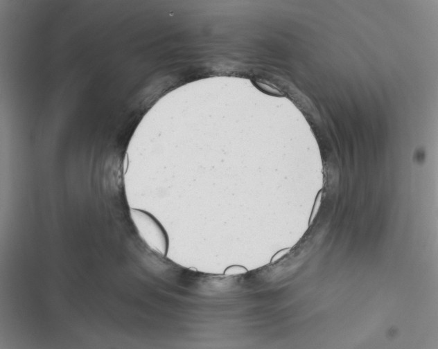 X0000116660479201001251221