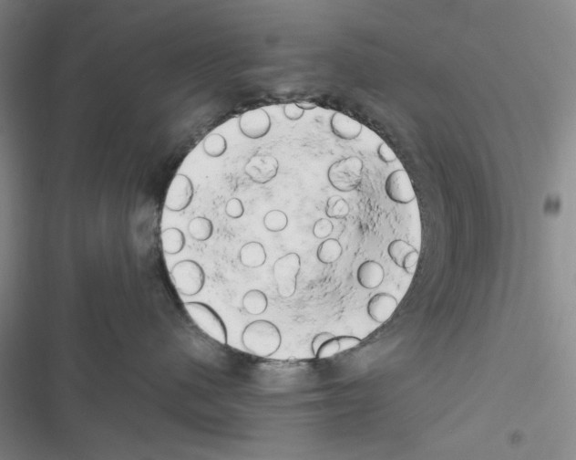 X0000116660480201001251221