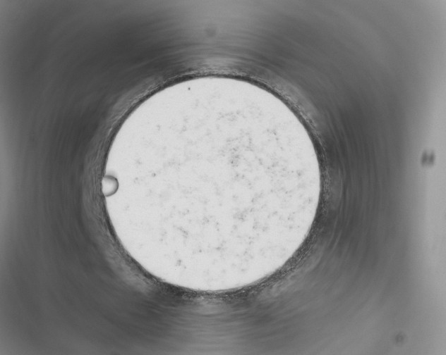 X0000116660481201001251221