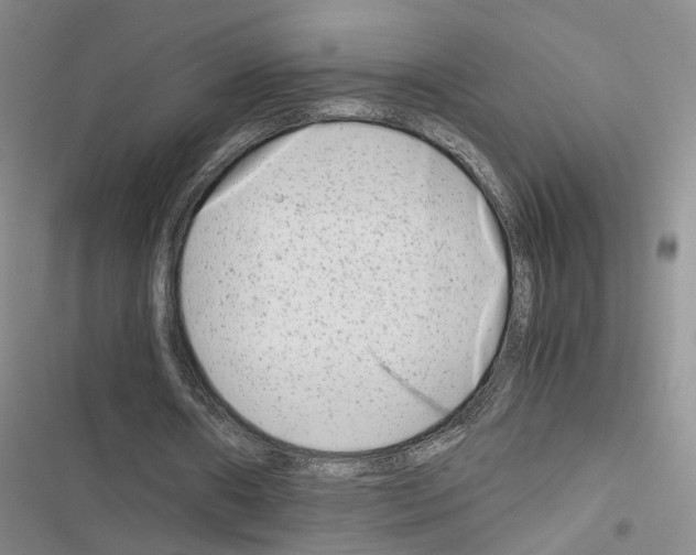 X0000116660482201001251221