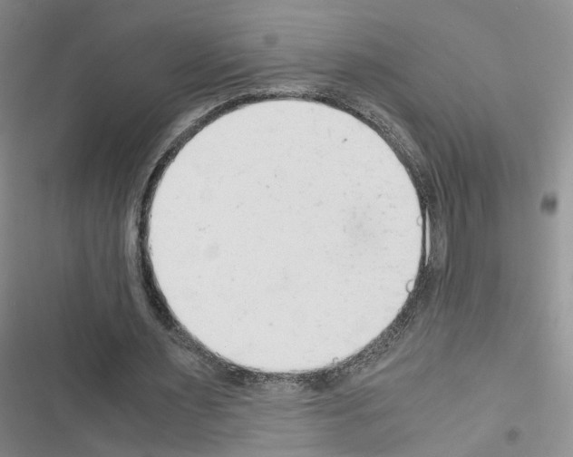 X0000116660483201001251221