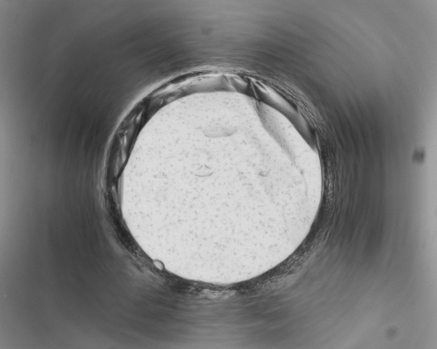 X0000116660484201001251221