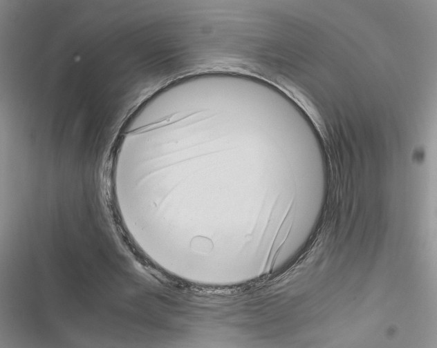 X0000116660485201001251221