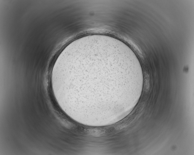 X0000116660486201001251221