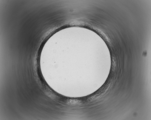 X0000116660487201001251221