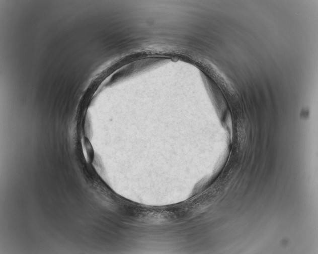 X0000116660488201001251221