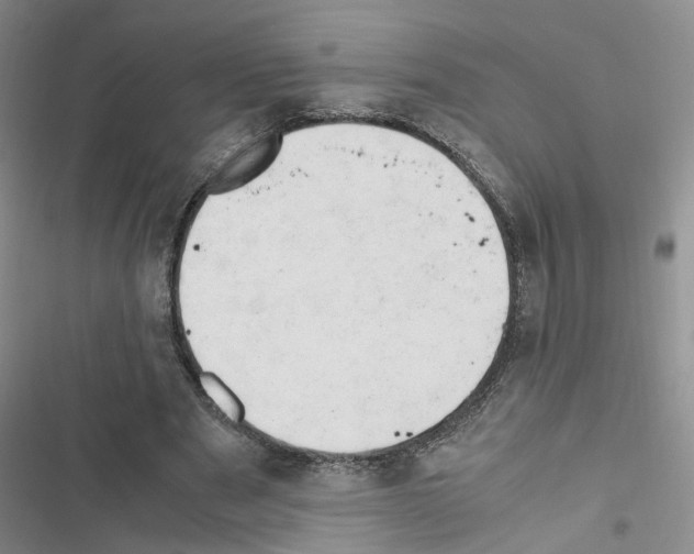 X0000116660489201001251221