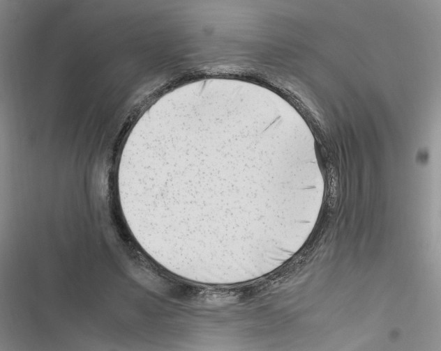 X0000116660491201001251221