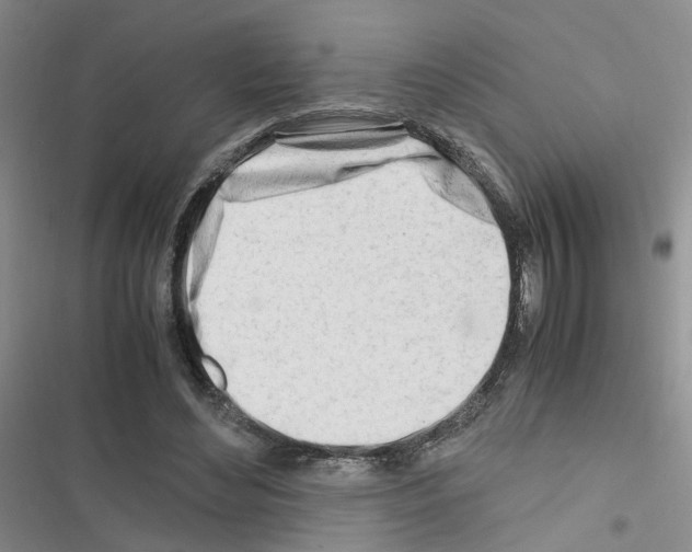 X0000116660492201001251221