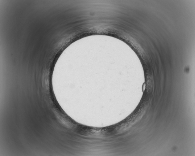 X0000116660493201001251221