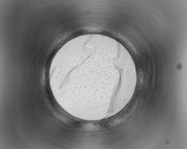 X0000116660494201001251221
