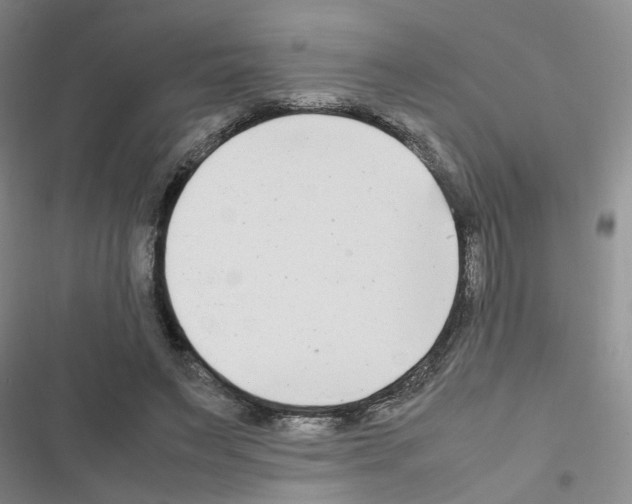 X0000116660495201001251221
