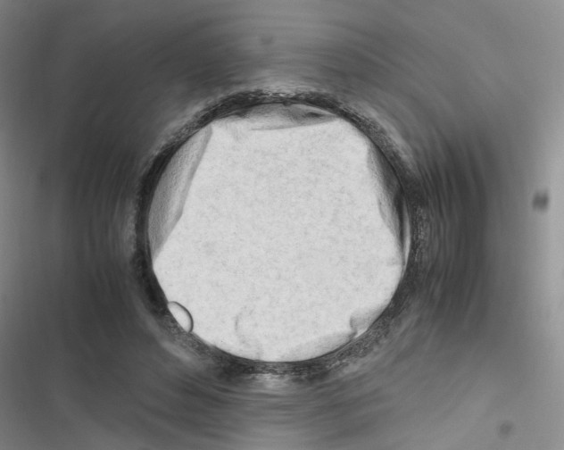 X0000116660496201001251221