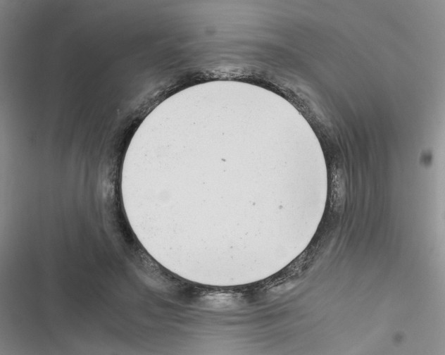 X0000116660499201001251221
