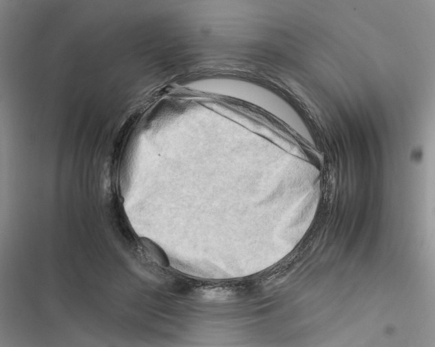 X0000116660500201001251221
