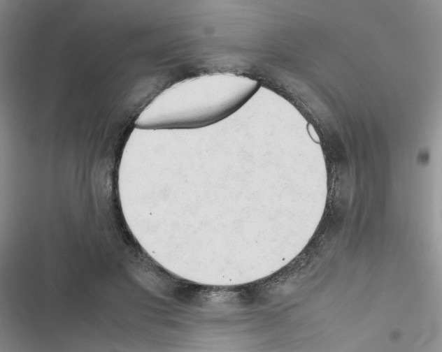 X0000116660501201001251221