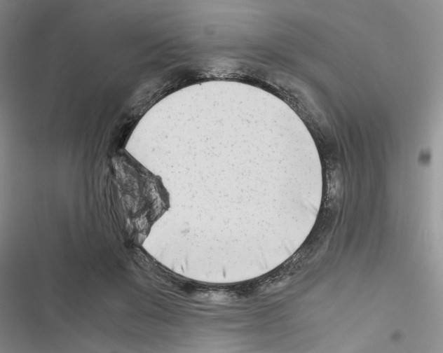 X0000116660503201001251221