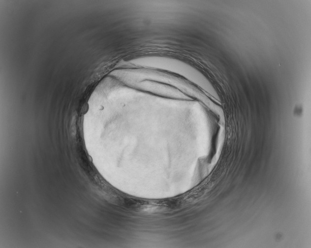 X0000116660504201001251221