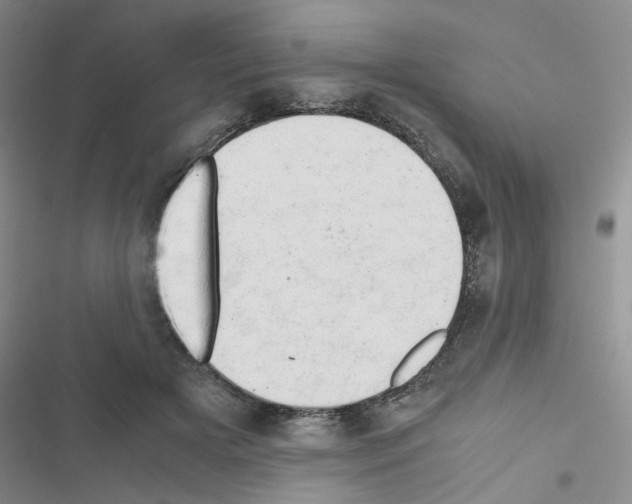 X0000116660505201001251221