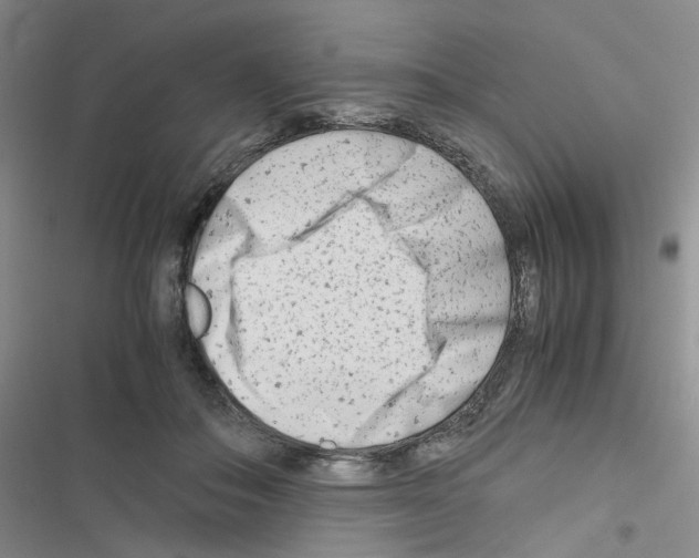 X0000116660506201001251220