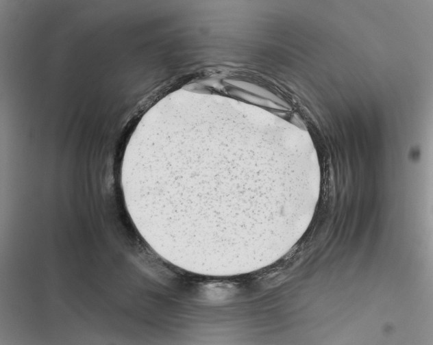 X0000116660508201001251220