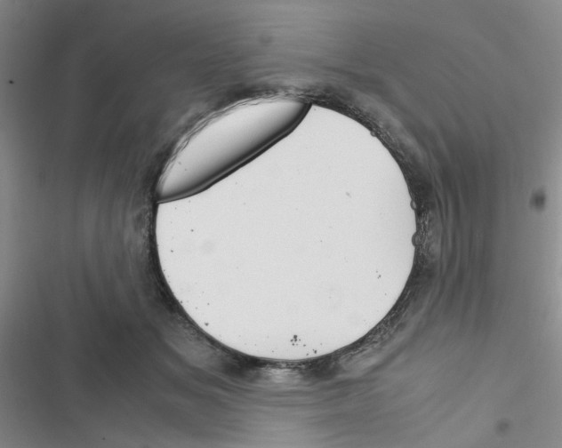 X0000116660509201001251220