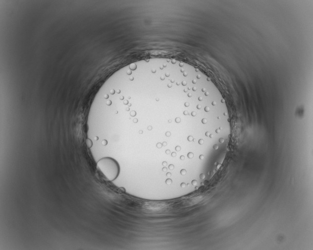 X0000116660510201001251220