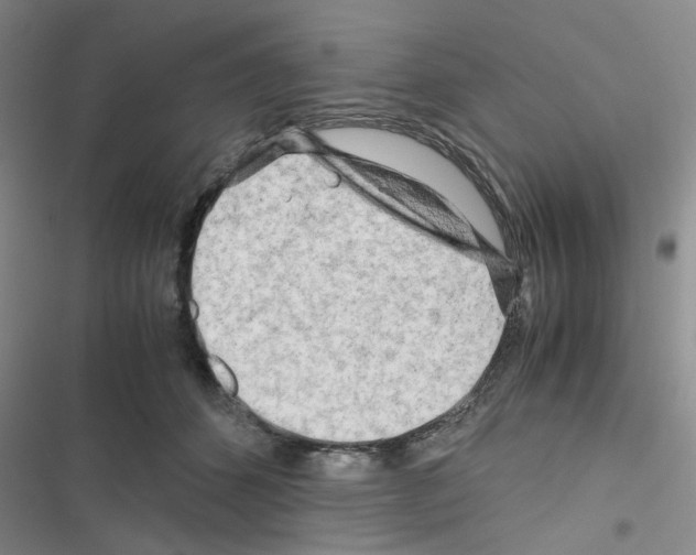 X0000116660512201001251220