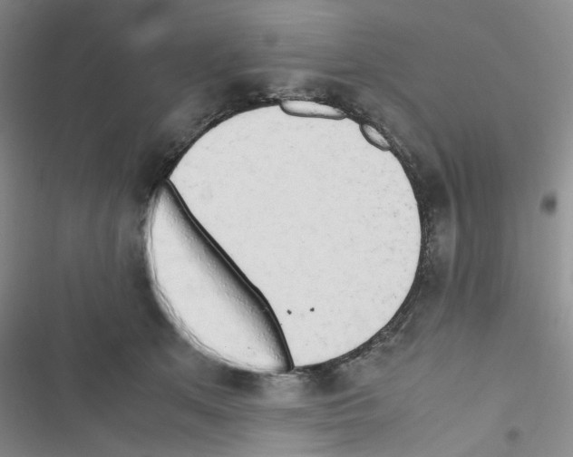 X0000116660513201001251220