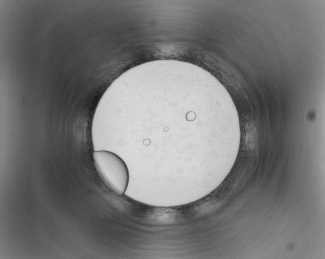 X0000116660514201001251220