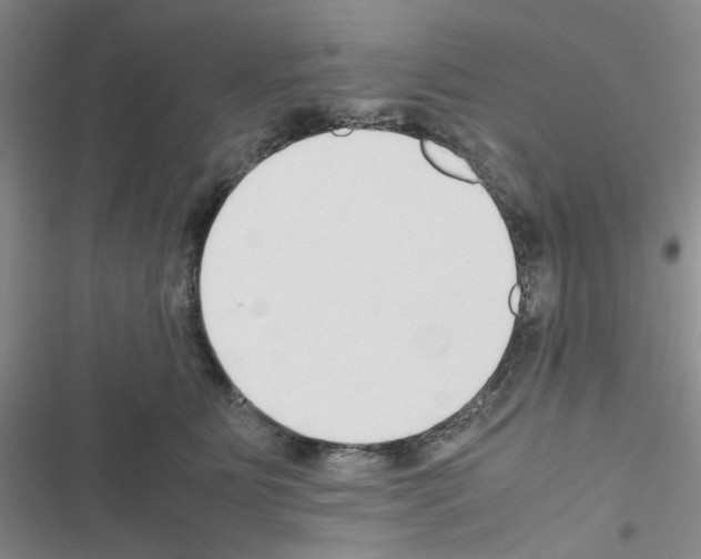 X0000116660515201001251220