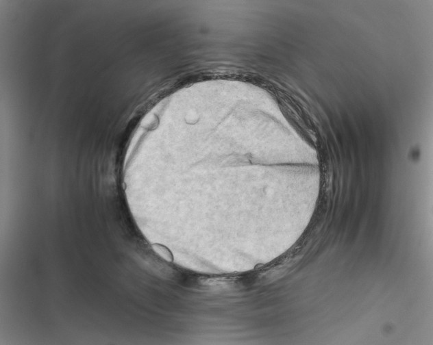 X0000116660516201001251220