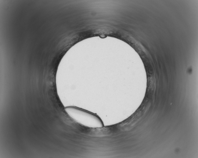 X0000116660517201001251220