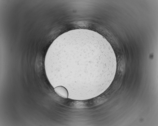 X0000116660518201001251220