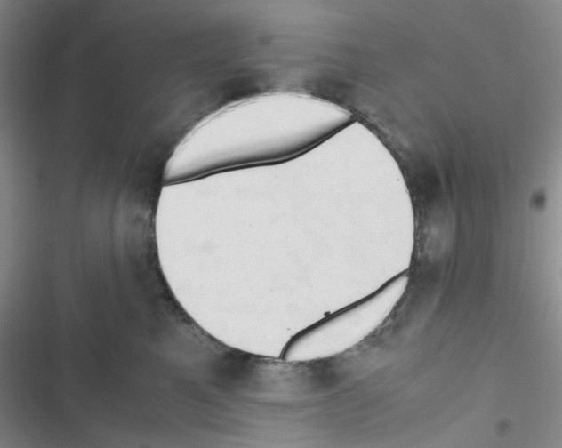 X0000116660521201001251220